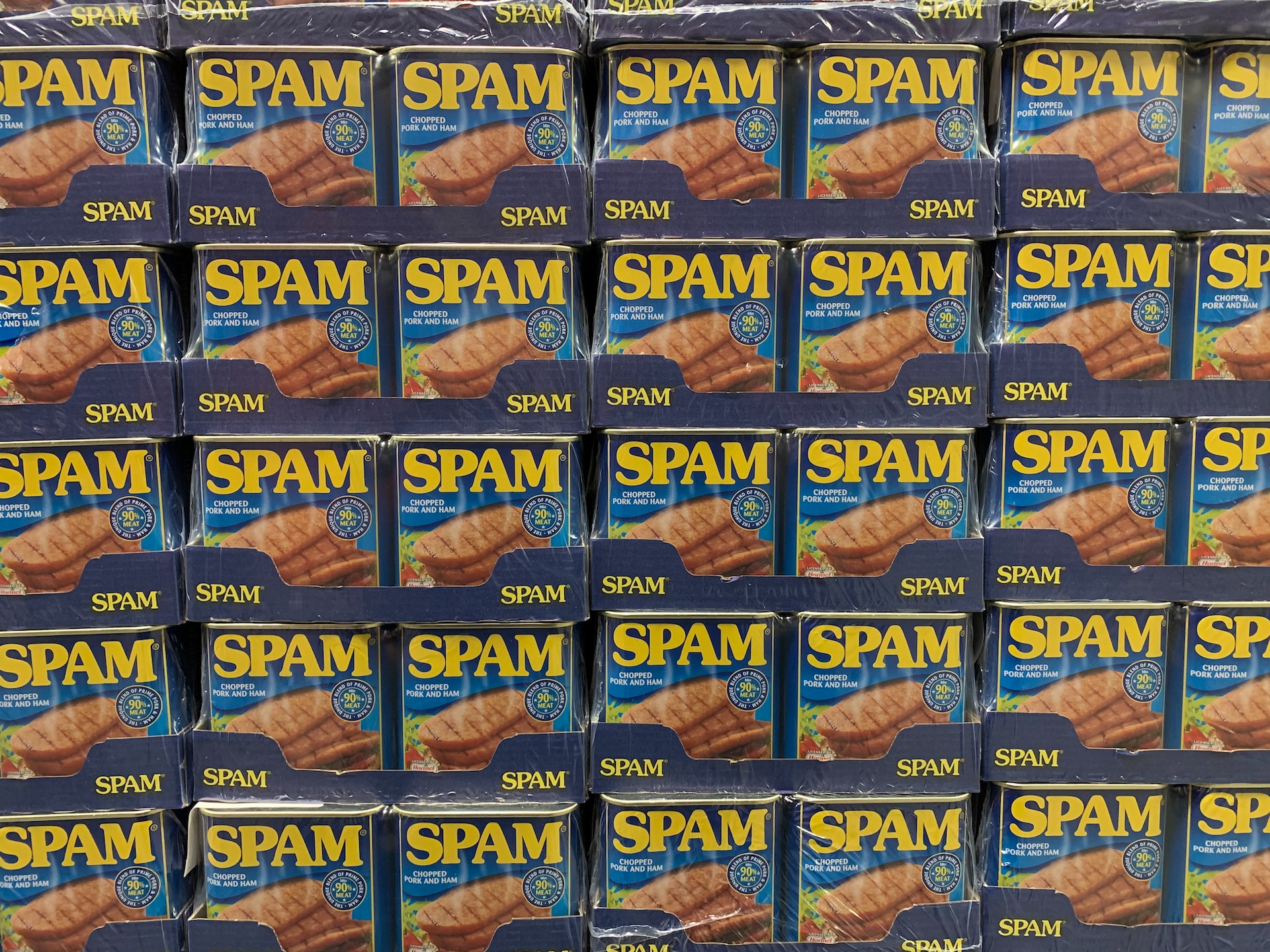 blog image spam